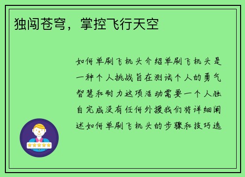 独闯苍穹，掌控飞行天空